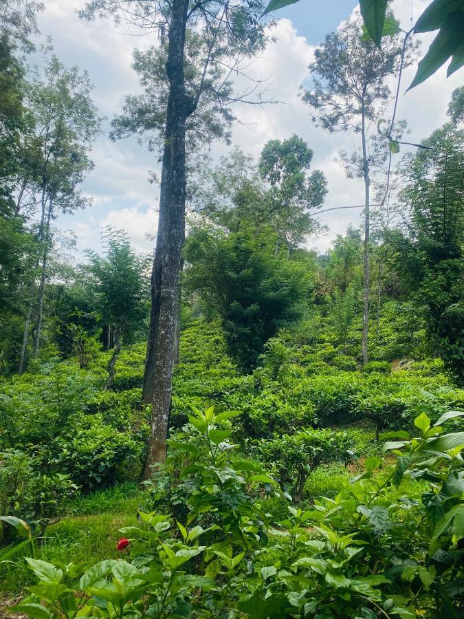 Treetops Элла Экстерьер фото