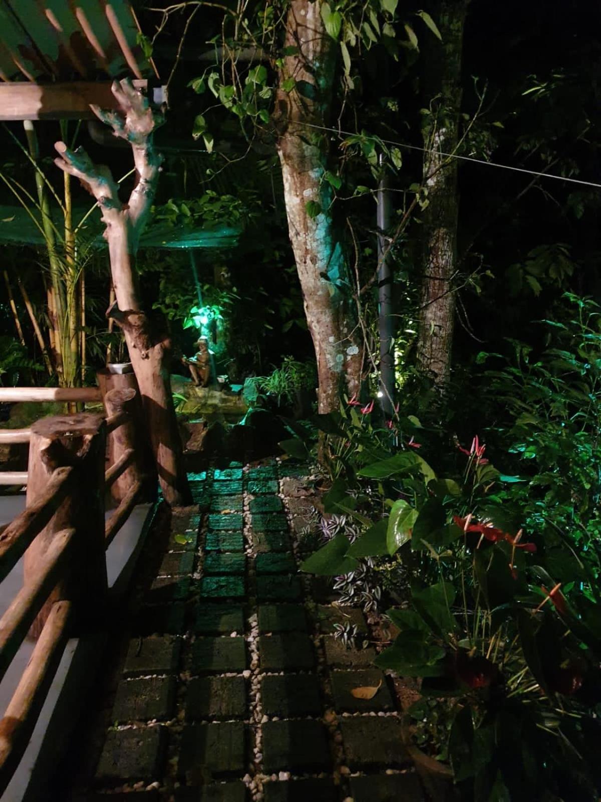 Treetops Элла Экстерьер фото
