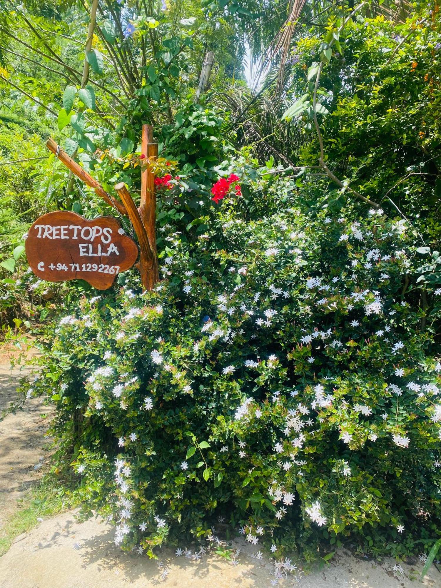 Treetops Элла Экстерьер фото